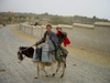 Two Kids on Donkey